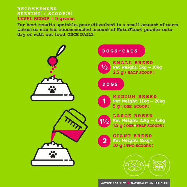 Nutriflex Maintenance Feeding Instructions For Dogs And Cats