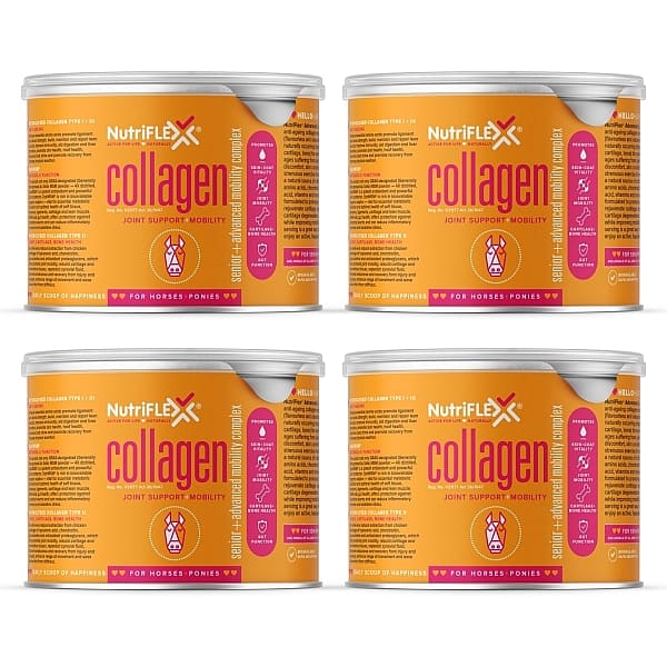 Nutriflex Collagen Advanced X4 Multipack For Horses