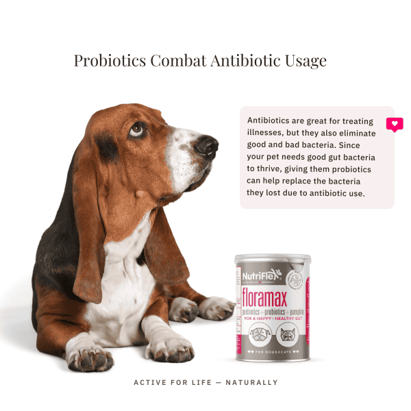 Floramax Prebiotic And Probiotics For Dogs And Cats 180G - Image 5