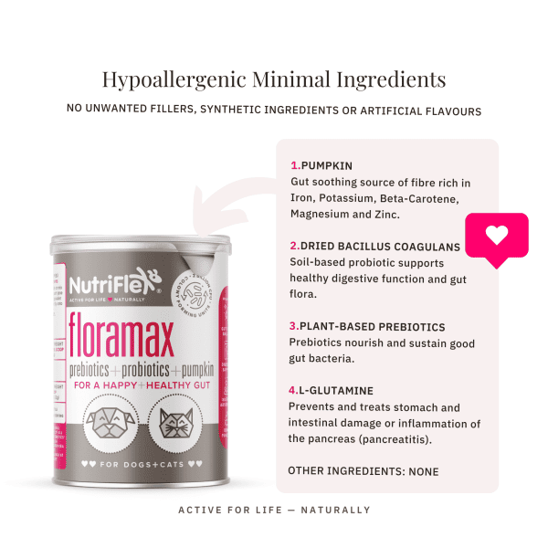 Floramax Prebiotic And Probiotics For Dogs And Cats 180G - Image 6