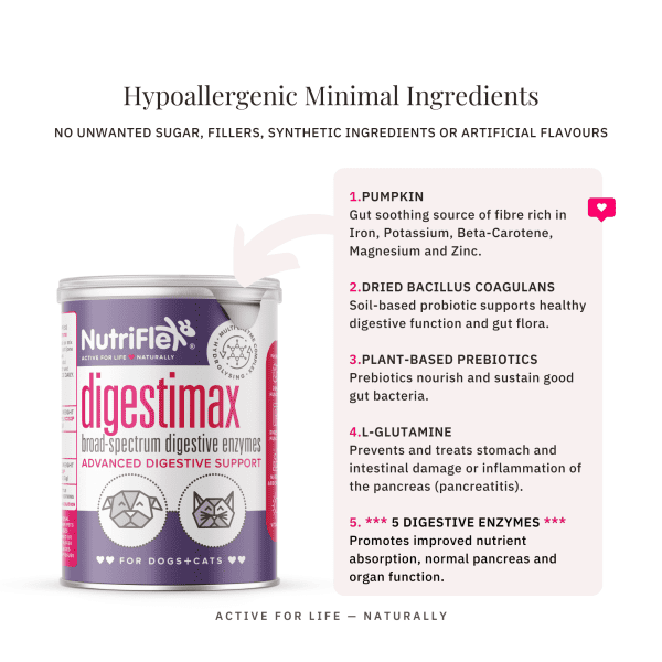 Digestimax Extra-Strength Probiotics For Dogs And Cats - Image 5