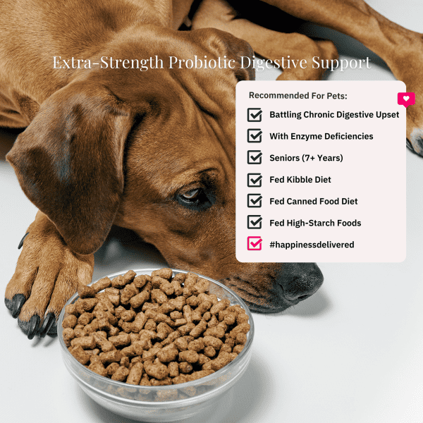 Digestimax Extra-Strength Probiotics For Dogs And Cats - Image 2