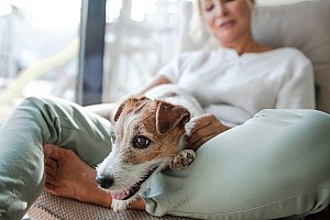 Human Food Grade Pet Supplements Woman Sitting With Dog On Her Lap