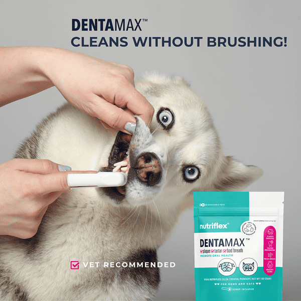 Dentamax Oral Hygiene Dental Powder For Dogs &Amp; Cats - Image 3