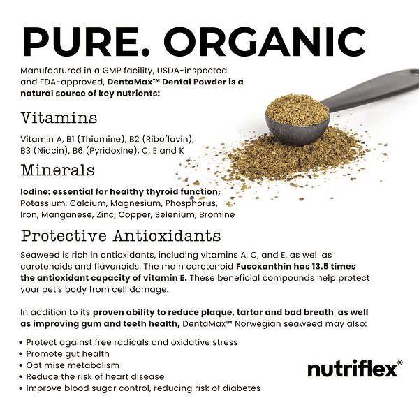 Scoop Of Nutriflex Dentamax Dental Powder With Text Detailing Its Pure, Organic Composition, Including Vitamins, Minerals, And Protective Antioxidants. Benefits Include Reducing Plaque, Tartar, And Bad Breath, And Promoting Overall Pet Health.